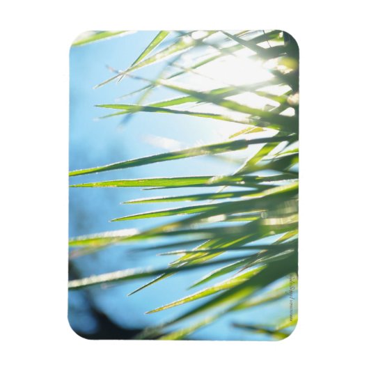 サンライトのブレード マグネット (縦)