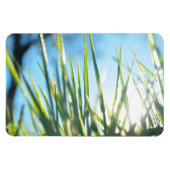 サンライトのブレード マグネット (横)