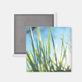 サンライトのブレード マグネット (正面/裏面)