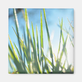 サンライトのブレード マグネット