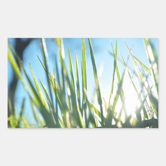 サンライトのブレード 長方形シール (正面)