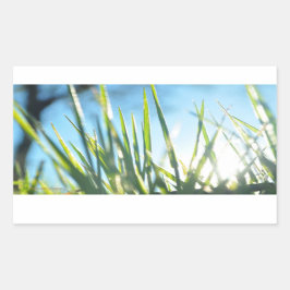 サンライトのブレード 長方形シール