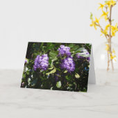 サンライトのマウンテンローレル カード (黄色い花)