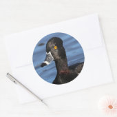 サンライトのリングや輪ダック輪郭 ラウンドシール (封筒)