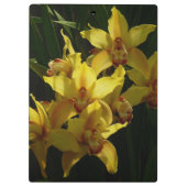 サンライトイエローランフローラ クリップボード (裏面)