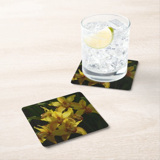 サンライトイエローランフローラ スクエアペーパーコースター (インサイチュ)