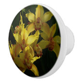 サンライトイエローランフローラ セラミックノブ (右)