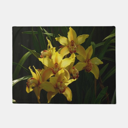 サンライトイエローランフローラ ドアマット (正面)