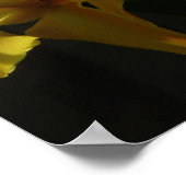 サンライトイエローランフローラ ポスター (角)