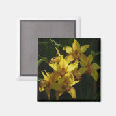 サンライトイエローランフローラ マグネット (正面/裏面)