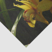 サンライトイエローランフローラ 薄葉紙 (詳細)