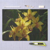 サンライトイエローランフローラ 薄葉紙 (クラフト)