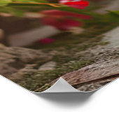 サンライトガーデン散策：チャールズスパニエル王 ポスター (角)