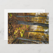 サンライトグレードイン秋 ポストカード (正面/裏面)