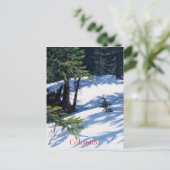 サンライトコロラドマウンテンスノーシーン シーズンポストカード (スタンド正面)