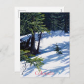 サンライトコロラドマウンテンスノーシーン シーズンポストカード (正面/裏面)