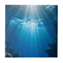 サンライトコーラルリーフタイルデコール