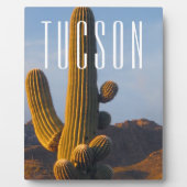 サンライトサグアーロツーソンのシーン フォトプラーク (正面)