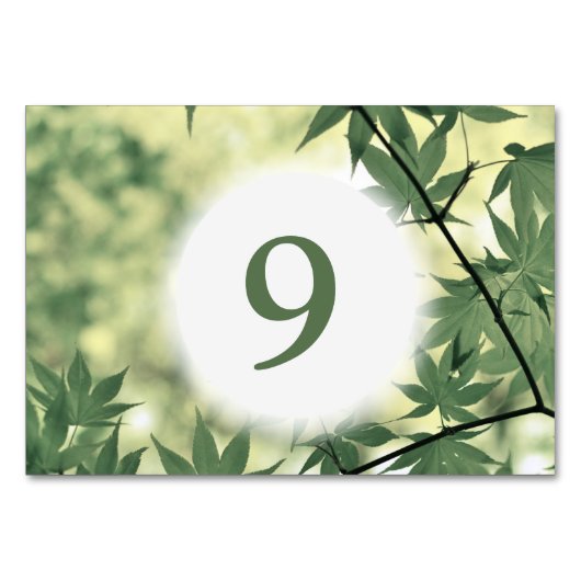 サンライトスルーメープル葉カスタム テーブルナンバー (裏面)