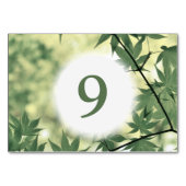 サンライトスルーメープル葉カスタム テーブルナンバー (正面)