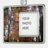 サンライトスルー秋ツリーatグリーンベルト シルバープレートフレームオーナメント (左)