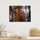 サンライトスルー秋ツリーatグリーンベルト ポスター (キッチン)