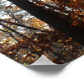 サンライトスルー秋ツリーatグリーンベルト ポスター (角)