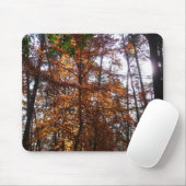 サンライトスルー秋ツリーatグリーンベルト マウスパッド (マウス)