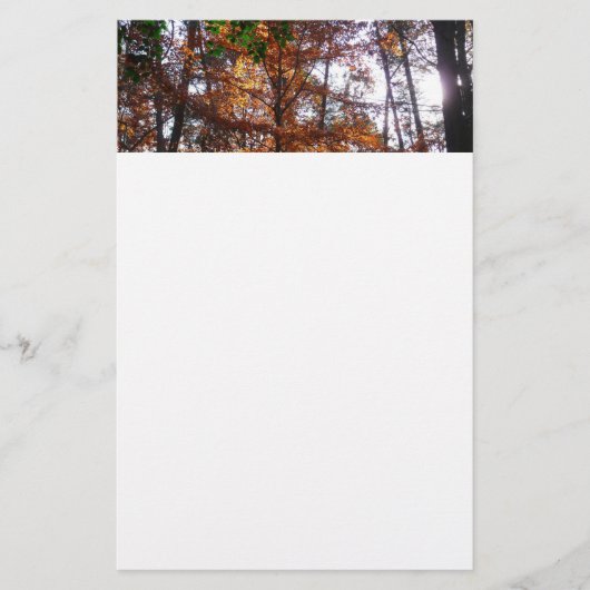 サンライトスルー秋ツリーatグリーンベルト 便箋 (正面)