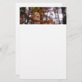 サンライトスルー秋ツリーatグリーンベルト 便箋 (正面/裏面)