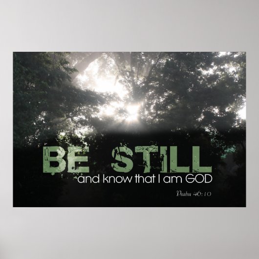 サンライトスルー輝くフォグリシリー ポスター (正面)