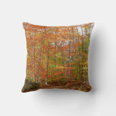 サンライトダップ秋トレイルアットローレルヒルパーク クッション (裏面)