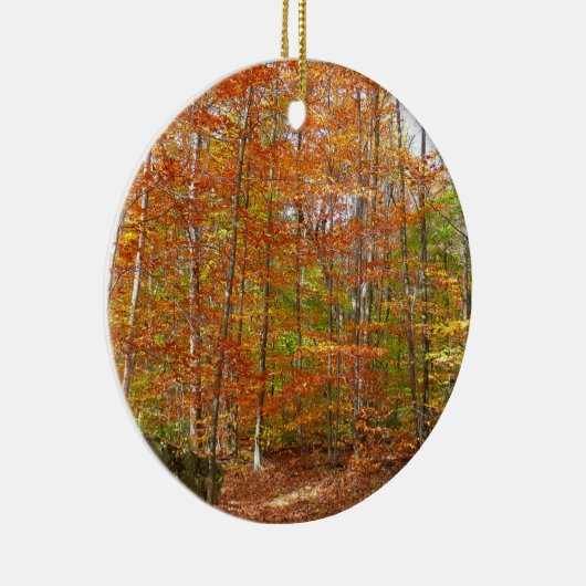 サンライトダップ秋トレイルアットローレルヒルパーク セラミックオーナメント (右)