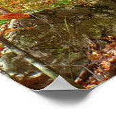 サンライトダップ秋トレイルアットローレルヒルパーク ポスター (角)