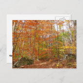 サンライトダップ秋トレイルアットローレルヒルパーク ポストカード (正面/裏面)