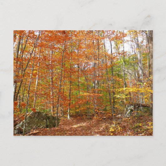 サンライトダップ秋トレイルアットローレルヒルパーク ポストカード (正面)