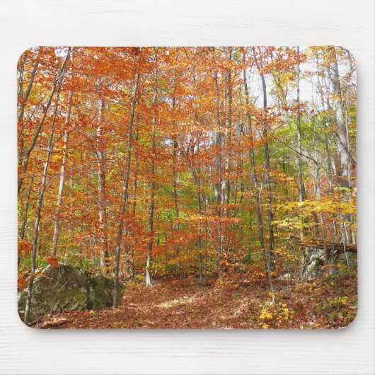 サンライトダップ秋トレイルアットローレルヒルパーク マウスパッド (正面)