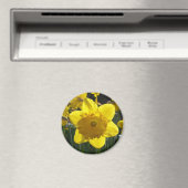 サンライトダフォディル マグネット (インサイチュ (食洗機))