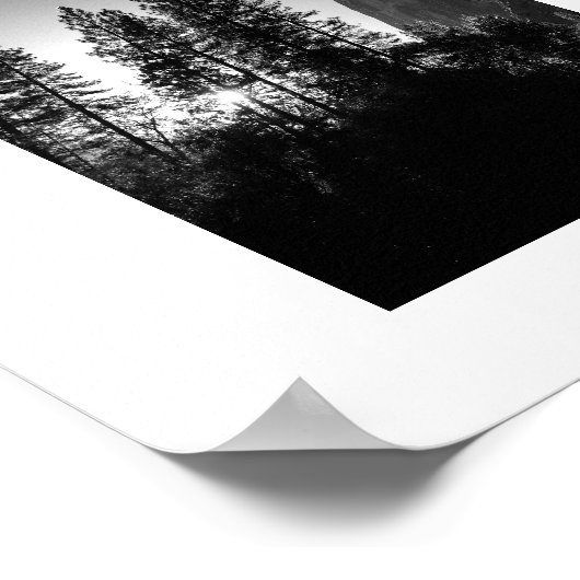 サンライトツリーヨセミテモノクロ写真 ポスター (角)