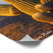 サンライトデザートサグアーロ ポスター (角)