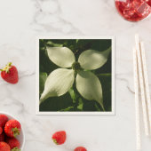 サンライトドグウッドブロッサム春フローラ スタンダードカクテルナプキン (インサイチュ)