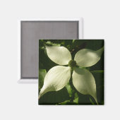 サンライトドグウッドブロッサム春フローラ マグネット (正面/裏面)