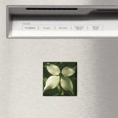 サンライトドグウッドブロッサム春フローラ マグネット (インサイチュ (食洗機))