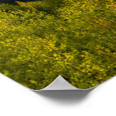 サンライトバレー//秋の色の森 ポスター (角)