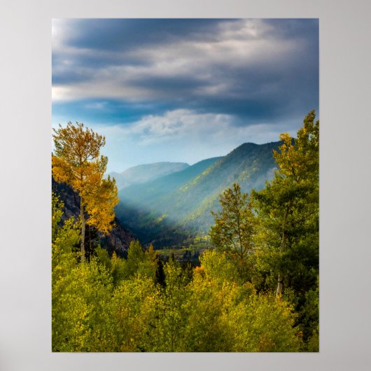 サンライトバレー//秋の色の森 ポスター (正面)