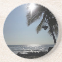 サンライトパームツリー海