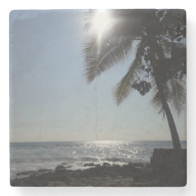 サンライトパームツリー海