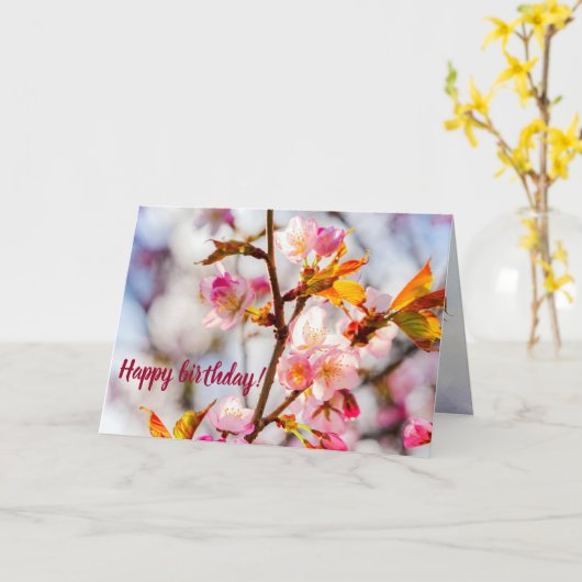サンライトピンク桜の花。さくらんぼ花 カード (黄色い花)
