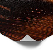 サンライトフィールドのアアルダーバルク ポスター (角)