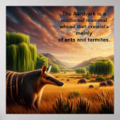 サンライトフィールドのアアルダーバルク ポスター (正面)